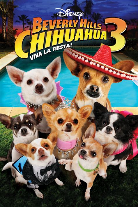 beverly hills chihuahua in order